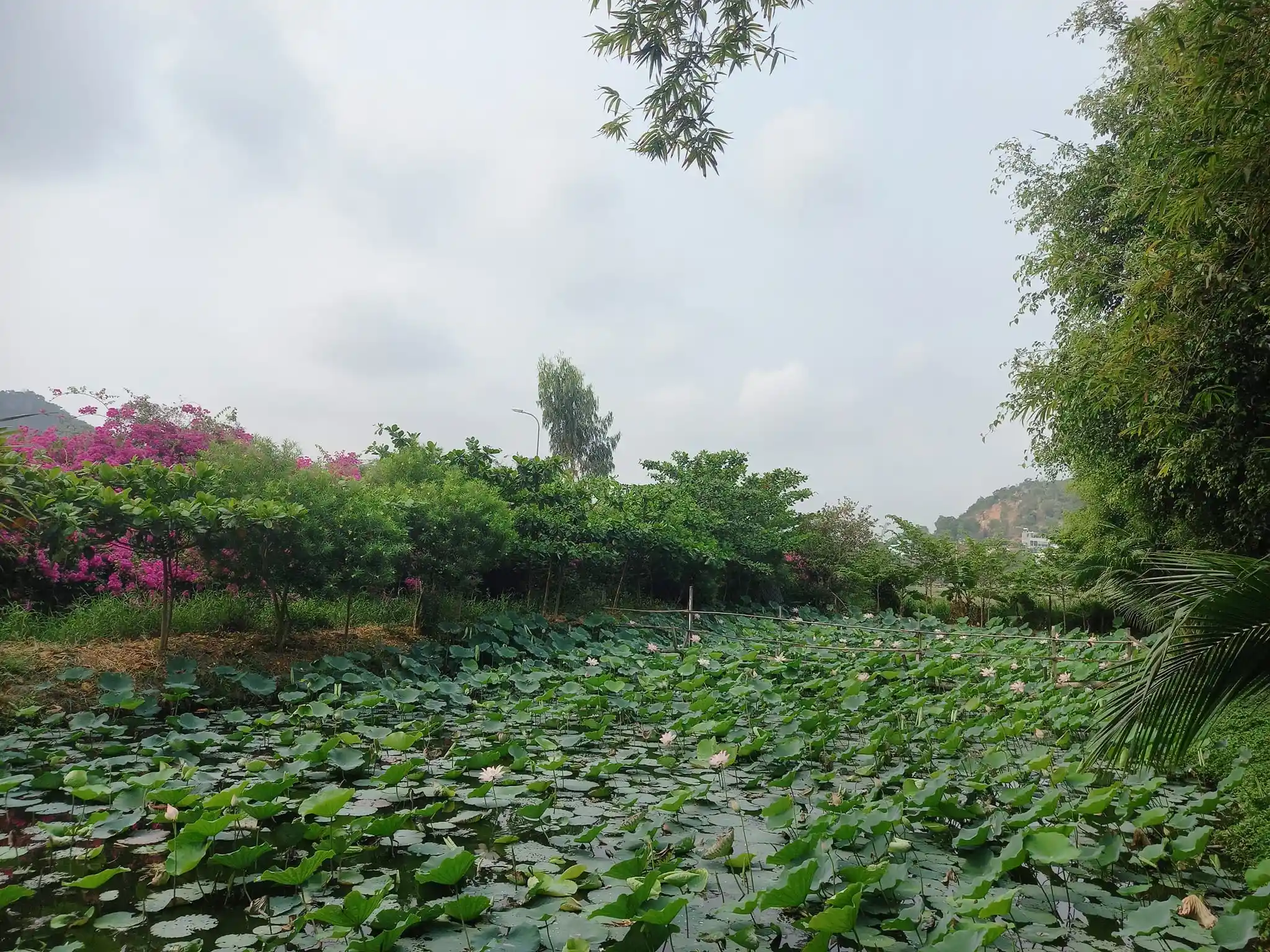 Góc nhỏ ấm cúng