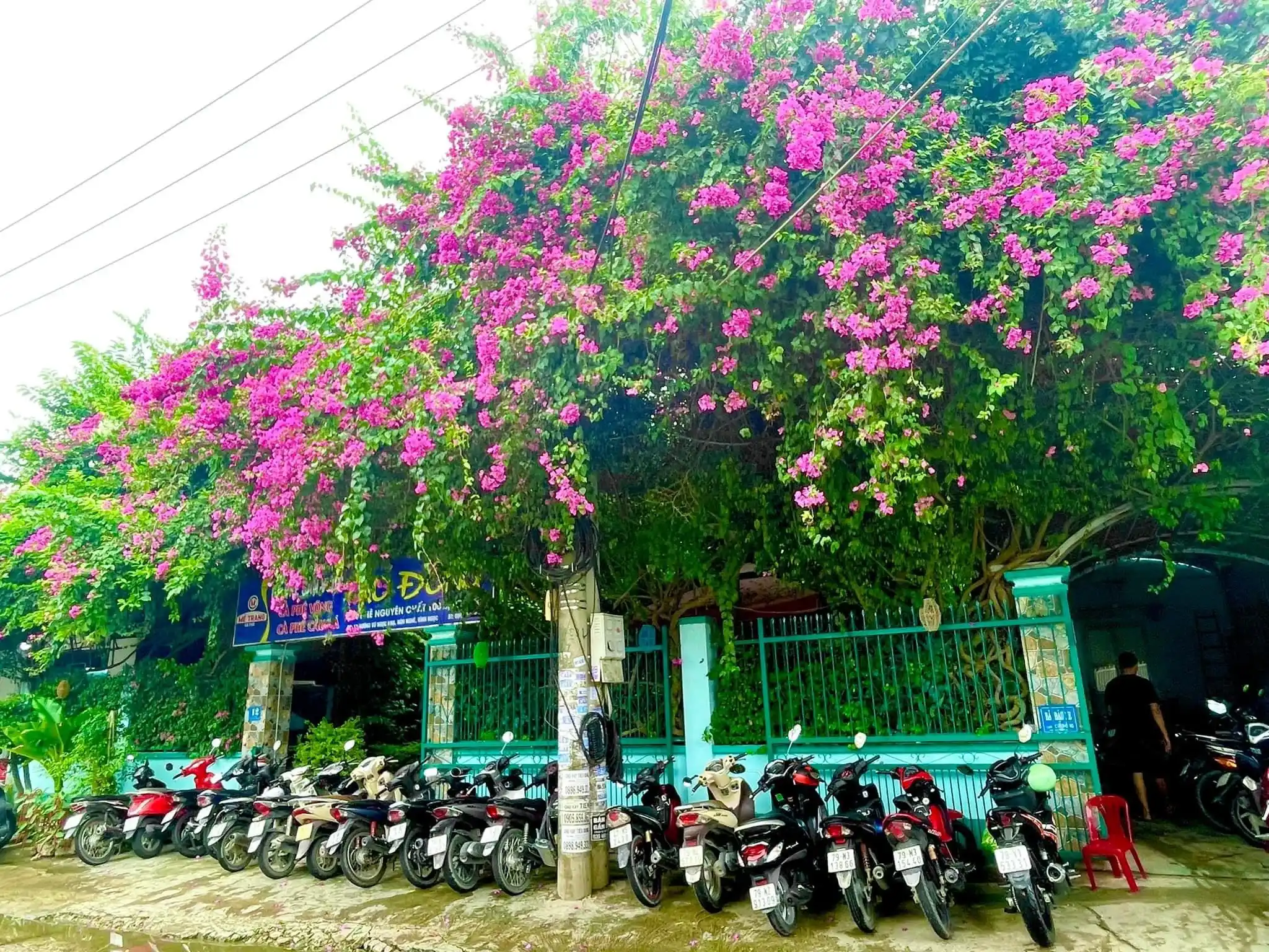Không gian sân vườn